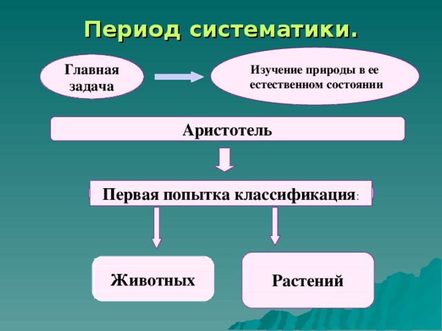 Период систематики. Главная задача Изучение природы в ее  естественном состоянии Аристотель Первая попытка классификация : Животных Растений 