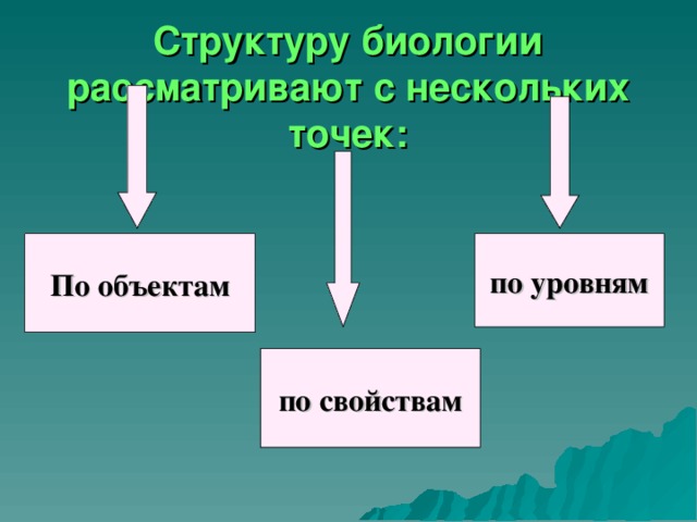 Структуру биологии рассматривают с нескольких точек: По объектам по уровням по свойствам 