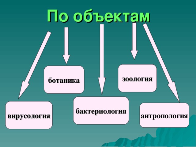 По объектам зоология ботаника бактериология вирусология антропология 