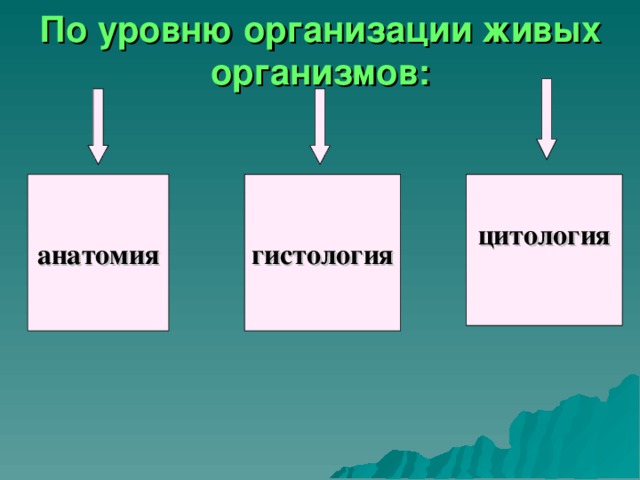 По уровню организации живых организмов: анатомия гистология цитология  