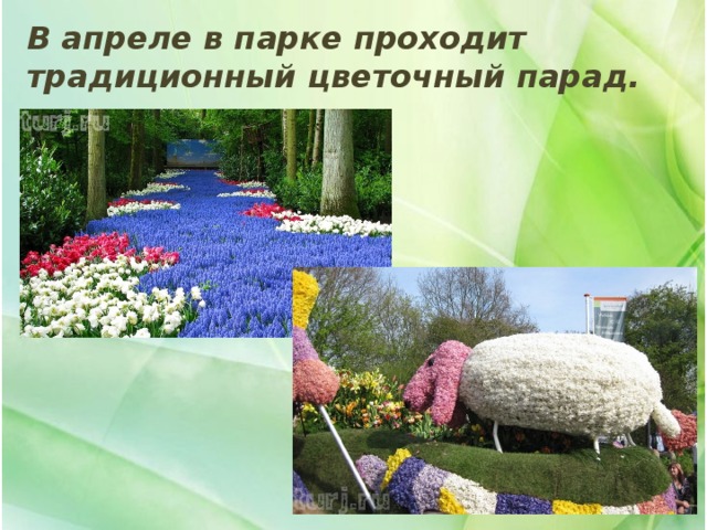 В апреле в парке проходит традиционный цветочный парад. 