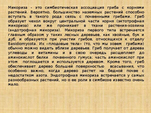 Микориза - это симбиотическая ассоциация гриба с корнями растений. Вероятно, большинство наземных растений способно вступать в такого рода связь с почвенными грибами. Гриб образует чехол вокруг центральной части корня (эктотрофная микориза) или же проникает в ткани растения-хозяина (эндотрофная микориза). Микориза первого типа встречается главным образом у таких лесных деревьев, как хвойные, бук и дуб, и образуется при участии грибов, относящихся к отделу Basidiomycota. Их «плодовые тела» (то, что мы зовем грибами) обычно можно видеть вблизи деревьев. Гриб получает от дерева углеводы и витамины и в свою очередь расщепляет до аминокислот белки почвенного гумуса; часть аминокислот при этом поглощается и используется деревом. Кроме того, гриб обеспечивает дерево большей поверхностью всасывания, что особенно важно, когда дерево растет на бедной почве с недостатком азота. Эндотрофная микориза встречается у самых разнообразных растений, но о ее роли в симбиозе известно очень мало. 