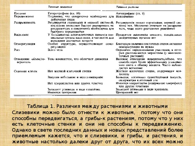 Таблица 1. Различия между растениями и животными Слизевики можно было отнести к животным, потому что они способны передвигаться, а грибы-к растениям, потому что у них есть клеточные стенки и они не способны к передвижению. Однако в свете последних данных и новых представлений более приемлемым кажется, что и слизевики, и грибы, и растения, и животные настолько далеки друг от друга, что их всех можно выделить в разные царства. 