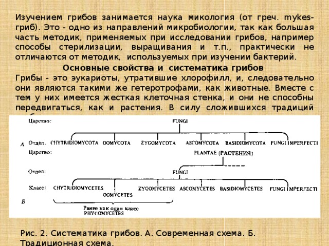 Изучением грибов занимается наука микология (от греч. mykes-гриб). Это - одно из направлений микробиологии, так как большая часть методик, применяемых при исследовании грибов, например способы стерилизации, выращивания и т.п., практически не отличаются от методик, используемых при изучении бактерий. Основные свойства и систематика грибов Грибы - это эукариоты, утратившие хлорофилл, и, следовательно они являются такими же гетеротрофами, как животные. Вместе с тем у них имеется жесткая клеточная стенка, и они не способны передвигаться, как и растения. В силу сложившихся традиций грибы всегда относили к растениям. Рис. 2. Систематика грибов. А. Современная схема. Б. Традиционная схема. 