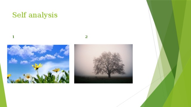 Self analysis   1 2 Ask the pupils to look at the pictures and write on the sheets of paper number 1 if they liked the lesson (the theme seemed to them important and interesting, it made them analyze their behavior and features of character), and number 2 if they didn’t like the lesson for any reason. All the papers are anonymous. 7 