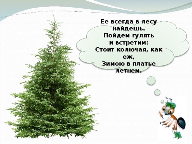  Ее всегда в лесу найдешь.  Пойдем гулять и встретим:  Стоит колючая, как еж,  Зимою в платье летнем.   