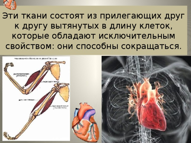 Картина выполненная из прилегающих друг к другу кусочков