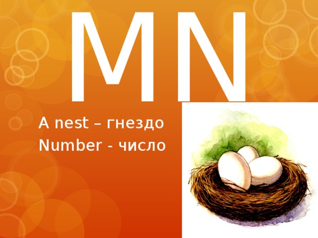 MN A nest – гнездо Number - число 