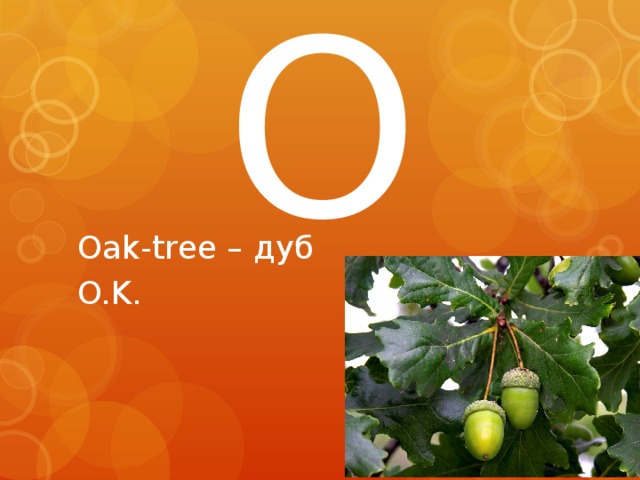 O Oak-tree – дуб O.K. 