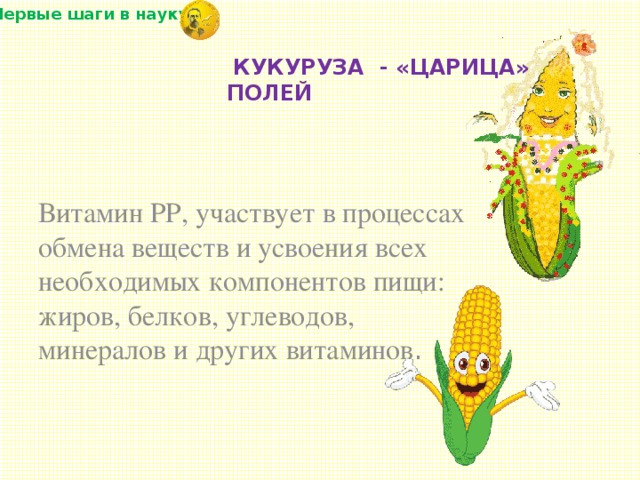 «Первые шаги в науку» Витамин РР, участвует в процессах обмена веществ и усвоения всех необходимых компонентов пищи: жиров, белков, углеводов, минералов и других витаминов .  КУКУРУЗА - «ЦАРИЦА» ПОЛЕЙ