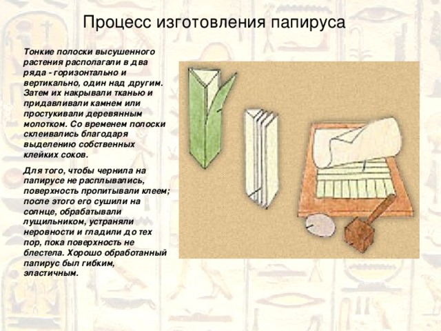 Процесс изготовления папируса Тонкие полоски высушенного растения располагали в два ряда - горизонтально и вертикально, один над другим. Затем их накрывали тканью и придавливали камнем или простукивали деревянным молотком. Со временем полоски склеивались благодаря выделению собственных клейких соков. Для того, чтобы чернила на папирусе не расплывались, поверхность пропитывали клеем; после этого его сушили на солнце, обрабатывали лущильником, устраняли неровности и гладили до тех пор, пока поверхность не блестела. Хорошо обработанный папирус был гибким, эластичным. 