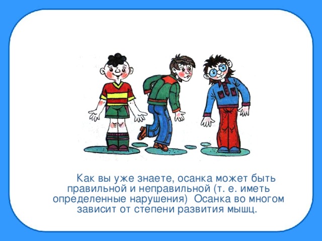 Как вы уже знаете, осанка может быть правильной и неправильной (т. е. иметь определенные нарушения) Осанка во многом зависит от степени развития мышц.