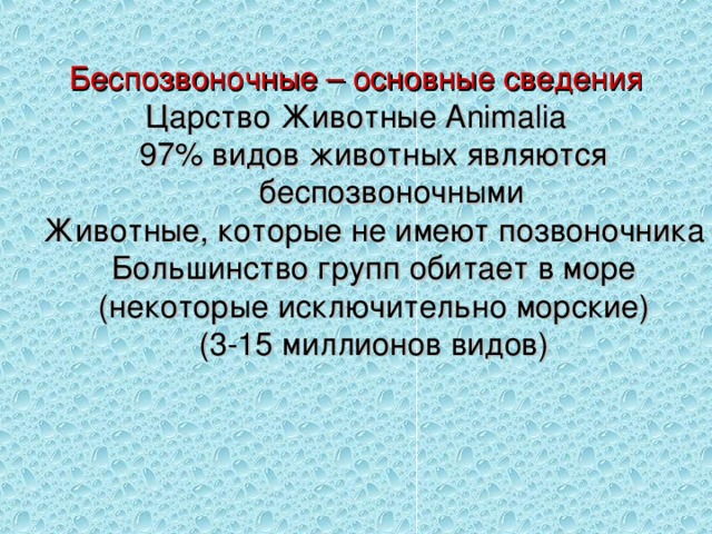 Беспозвоночные – основные сведения Царство Животные Animalia 97% видов животных являются беспозвоночными Животные, которые не имеют позвоночника Большинство групп обитает в море (некоторые исключительно морские) (3-15 миллионов видов) 97% видов животных являются беспозвоночными Животные, которые не имеют позвоночника Большинство групп обитает в море (некоторые исключительно морские) (3-15 миллионов видов) 