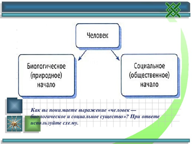 Как вы понимаете выражение «человек — биологическое и социальное существо»? При ответе используйте схему.  