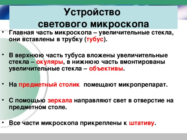 Устройство  светового микроскопа Главная часть микроскопа – увеличительные стекла, они вставлены в трубку ( тубус ).  В верхнюю часть тубуса вложены увеличительные стекла – окуляры , в нижнюю часть вмонтированы увеличительные стекла – объективы .  На предметный столик помещают микропрепарат.  С помощью зеркала направляют свет в отверстие на предметном столе.  Все части микроскопа прикреплены к штативу . 