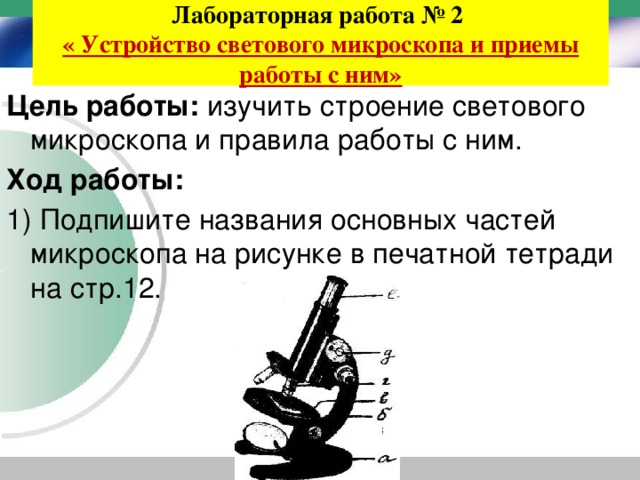 Лабораторная работа № 2  « Устройство светового микроскопа и приемы работы с ним» Цель работы: изучить строение светового микроскопа и правила работы с ним. Ход работы: 1) Подпишите названия основных частей микроскопа на рисунке в печатной тетради на стр.12. 