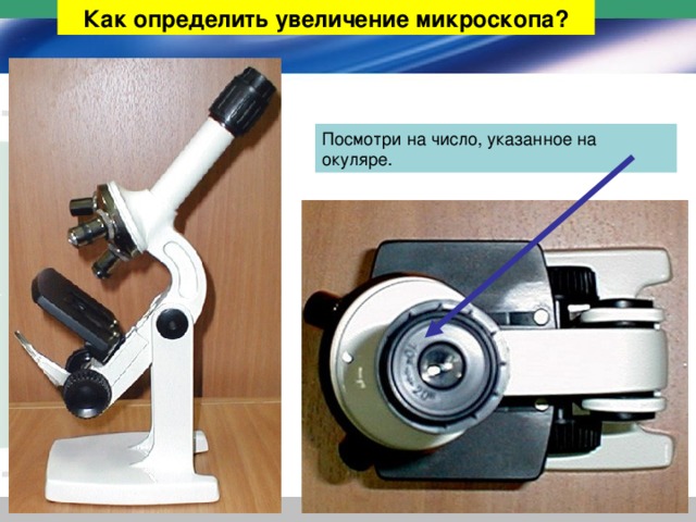 Как определить увеличение микроскопа? Посмотри на число, указанное на окуляре. 