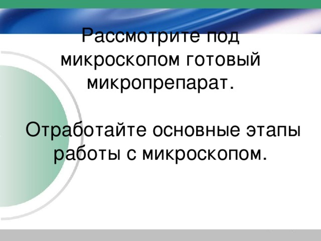 Рассмотрите под микроскопом готовый микропрепарат.   Отработайте основные этапы работы с микроскопом. 