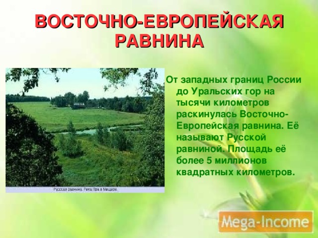 Проект по русской равнине