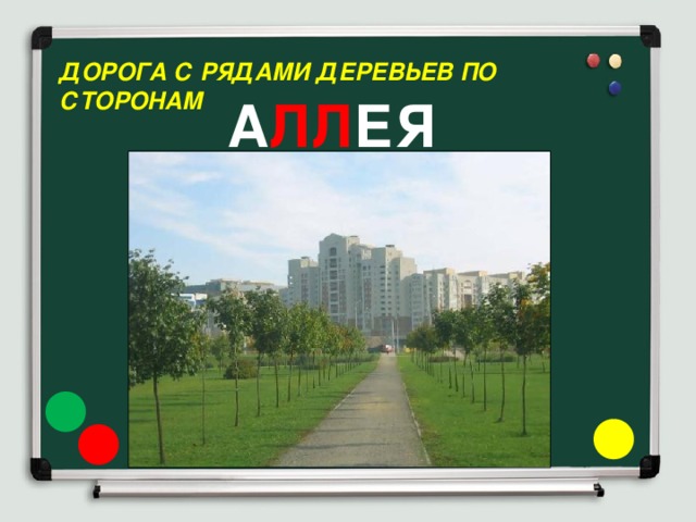 Дорога с рядами деревьев по сторонам  А ЛЛ ЕЯ 