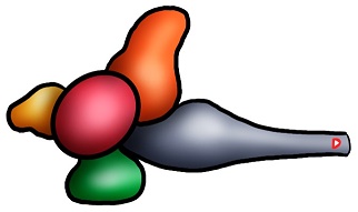 сколько отделов насчитывается в головном мозге рыб. Смотреть фото сколько отделов насчитывается в головном мозге рыб. Смотреть картинку сколько отделов насчитывается в головном мозге рыб. Картинка про сколько отделов насчитывается в головном мозге рыб. Фото сколько отделов насчитывается в головном мозге рыб сколько отделов насчитывается в головном мозге рыб. Смотреть фото сколько отделов насчитывается в головном мозге рыб. Смотреть картинку сколько отделов насчитывается в головном мозге рыб. Картинка про сколько отделов насчитывается в головном мозге рыб. Фото сколько отделов насчитывается в головном мозге рыб