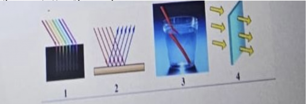 Сиенна Грейс порно онлайн Ең кеуделі және бөтен балапандар блят