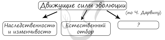 Тест по теме факторы эволюции. Рассмотрите предложенную схему классификации движущих сил эволюции. рассмотрите предложенную схему классификации направлений эволюции. движущие силы эволюции егэ биология. схема движущие силы эволюции по дарвину.