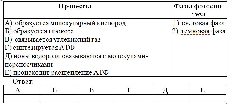 Установите соответствие в ответ запишите последовательность цифр. Установите соответствие в ответ запишите последовательность цифр
