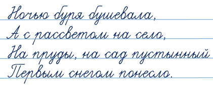 Определите тип склонения существительных печь племя