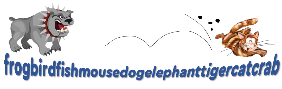 Сколько слов по теме «Animals» ты видишь в змейке?