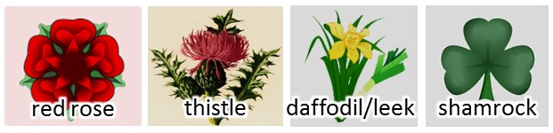 England symbol red rose. Какое растение является символом Англии. Какой цветок является цветком Ireland. Символы Shamrock Red Rose Thistle. Растительный символ Уэльса 5 букв.