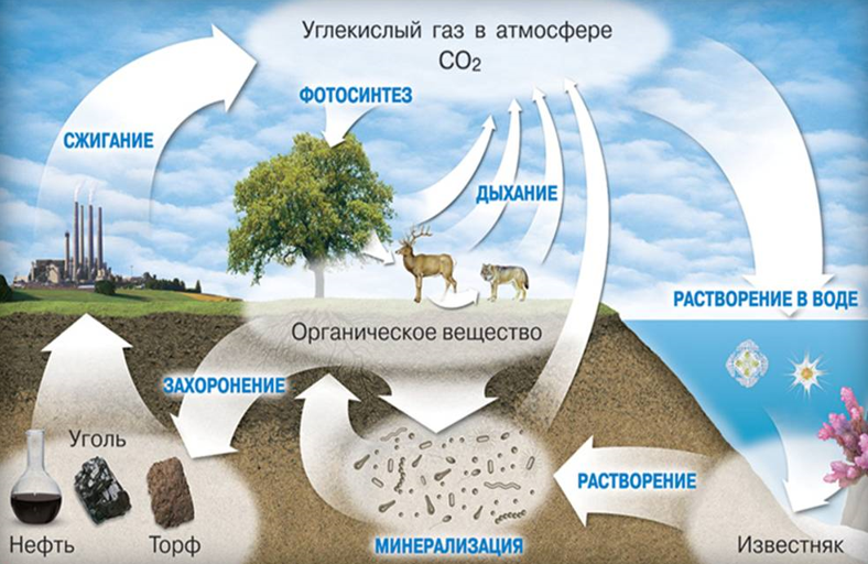 Негативные последствия в результате антропогенного воздействия на земные оболочки схема