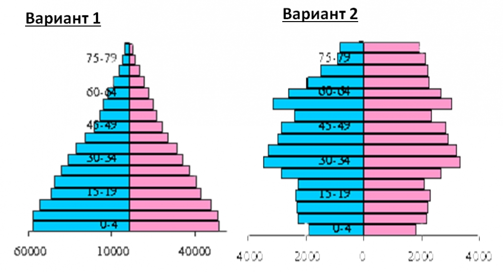 Половозрастная диаграмма германии