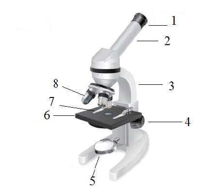 Изображение микроскопа с обозначениями