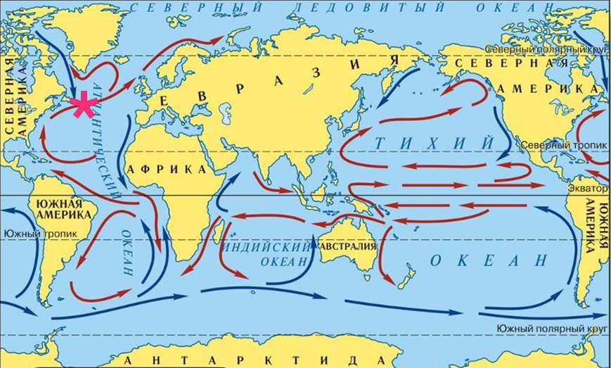 Картинки ТЕПЛЫЕ ТЕЧЕНИЯ 7 КЛАСС ГЕОГРАФИЯ